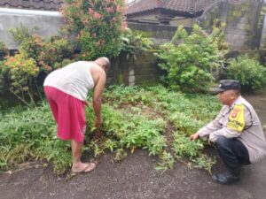 Dukung Ketahanan Pangan, Bhabinkamtibmas Pekutatan Pantau Pekarangan Warga