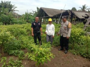 Pekarangan Pangan Bergizi, Polres Jembrana Ajak Warga Mandiri Pangan