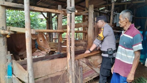 Polres Jepara Ambil Peran Dalam Pencegahan Kasus Pmk Di Wilayahnya