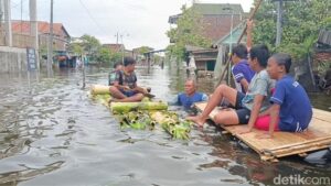 Dukung Ketahanan Pangan, Aiptu Sumeri Tanam Jagung Di Lahan 500