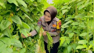 Inisiatif Brigadir Maya, Pekarangan Warga Karanganyar Berubah Jadi Kebun Subur