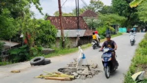 Jalan Berlubang Di Toroh Ditambal Warga, Pemkab Grobogan Angkat Bicara