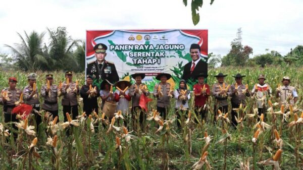 Kapolres Lamandau Berpartisipasi Dalam Panen Jagung Serentak Untuk Ketahanan Pangan