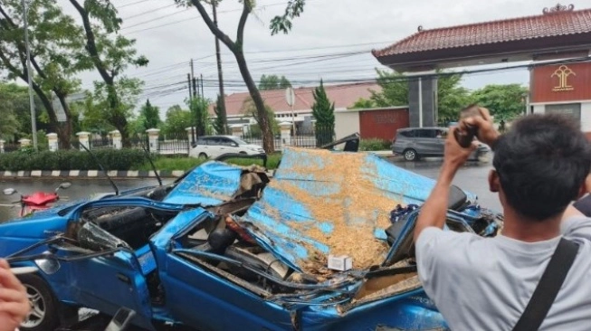 Kecelakaan Di Semarang: Pohon Tumbang Timpa Mobil, Dua Orang Luka Luka