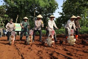 Polres Sukoharjo Kembangkan Pertanian, Kapolres Tanam Jagung Di Polokarto