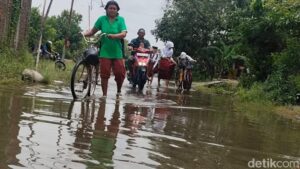 Sudah Seminggu Banjir Di Kampung Kudu Semarang, 288 Kk Terimbas