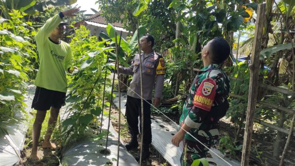 Wujudkan Ketahanan Pangan, Polisi Dan Warga Jembrana Ciptakan Pekarangan Bergizi