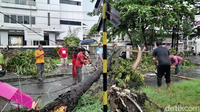 Hujan dan angin kencang di semarang, belasan pohon tumbang, listrik