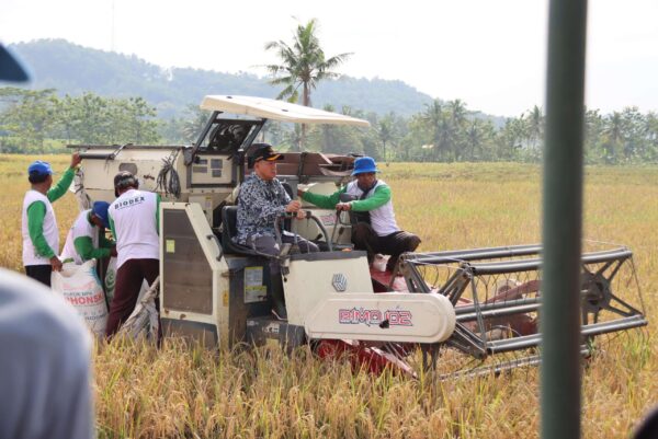 Petani diminta jaga mutu gabah, bupati banyumas tekankan kualitas produksi