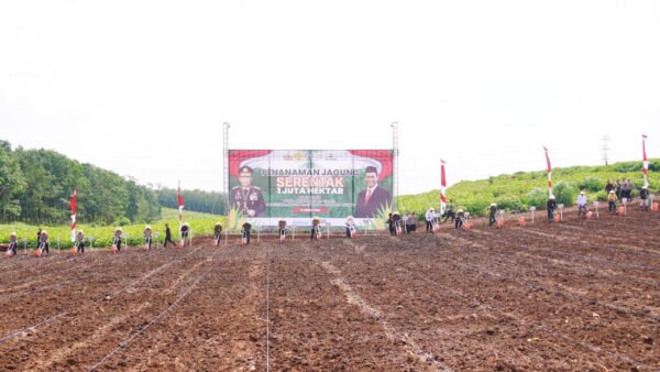 4.906 Hektar Lahan Jagung: Polda Jateng Dorong Ketahanan Pangan Nasional