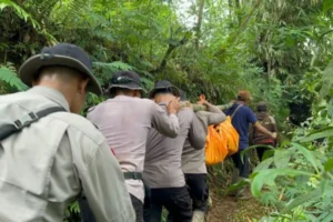 Bencana Di Pekalongan Demak, Polda Jateng Kirim Brimob Untuk Evakuasi