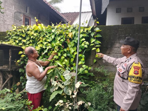 Dukung Program Ketahanan Pangan, Polri Awasi Pemanfaatan Pekarangan Di Pekutatan