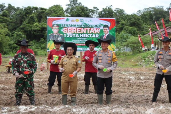 Dukung Program Presiden, Polres Lamandau Luncurkan Penanaman Jagung Serentak