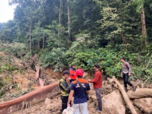 Evakuasi Korban Longsor Di Damang Batu: Polsek Kahayan Hulu Utara