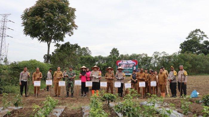 Gerakan Nasional Ketahanan Pangan: Kapolres Humbahas Turun Ke Lapangan