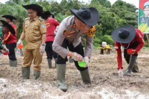 Gerakan Serentak Tanam Jagung, Lamandau Optimalkan Lahan 60 Hektare