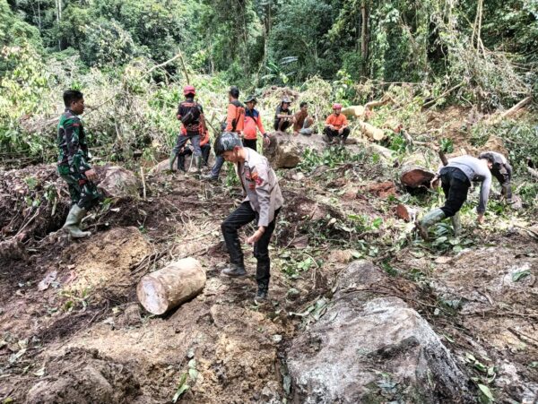 Harapan Di Tengah Hujan: Evakuasi Korban Longsor Di Tumbang Mahuroi