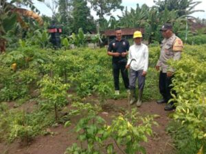 Kemandirian Pangan Jadi Fokus Polres Jembrana Lewat Pekarangan Pangan Bergizi