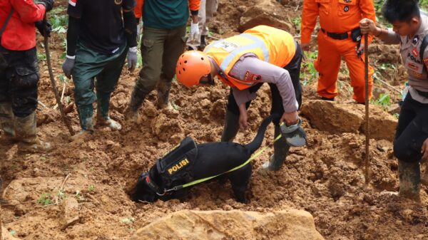 Longsor Di Jateng: Tim K 9 Temukan Jenazah Bayi Yang Tertimbun