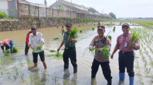 Optimalisasi Lahan Di Batang, Polda Jateng Dukung Program Swasembada Pangan