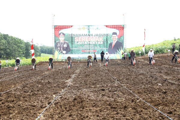 Polda Jateng Serentak Tanam Jagung Di Ribuan Hektar Demi Swasembada