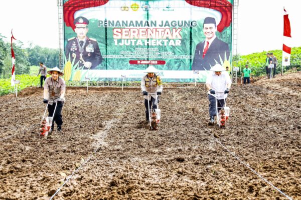 Polda Jateng Tunjukkan Aksi Nyata Dukung Pangan Nasional: Tanam Jagung