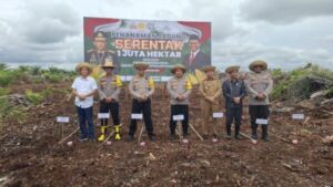 Polda Kalteng Tanam Jagung Di 1 Juta Hektare Katingan Untuk