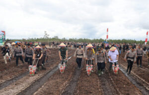 Polda Kalteng Wujudkan Asta Cita Presiden Dengan Menanam Jagung Di