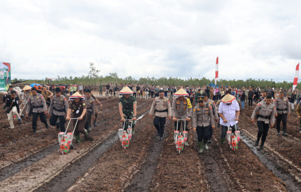 Polda Kalteng Wujudkan Asta Cita Presiden Dengan Menanam Jagung Di