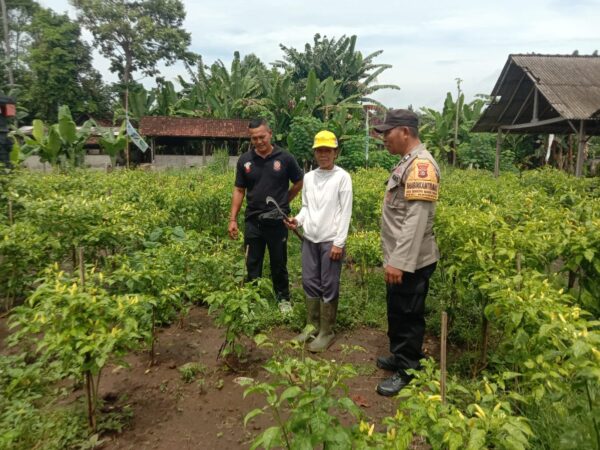 Polres Jembrana Dorong Ketahanan Pangan Lewat Program Inovatif Pekarangan Bergizi