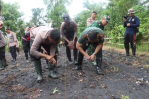 Polres Jembrana Kolaborasi Tanam Jagung 1 Juta Hektar Untuk Swasembada