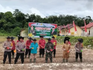 Polres Lamandau Tanam Jagung Serentak, Dukung Program Ketahanan Pangan Nasional