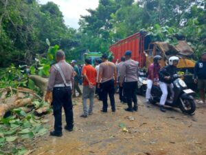 Polsek Gilimanuk Amankan Jalur Utama Usai Pohon Tumbang Halangi Jalan