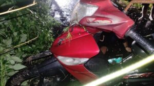 Pria Boyolali Meninggal Dunia Usai Kendaraannya Menabrak Pohon Tumbang Di