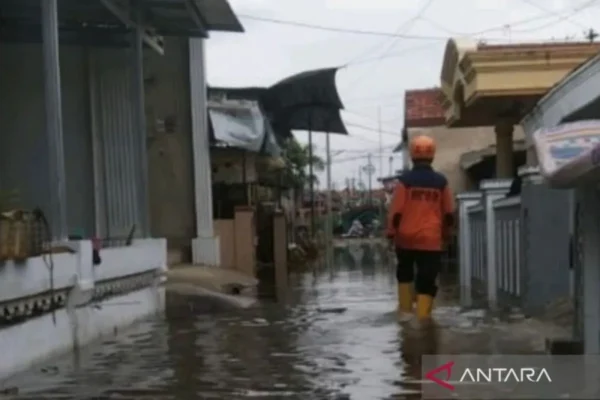 Ribuan Warga Tegal Terdampak Banjir Rob, Bnpb: Tim Gabungan Sudah