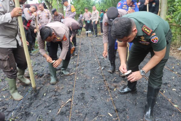 Swasembada Pangan 2025, Polres Jembrana Sinergi Tanam Jagung Massal