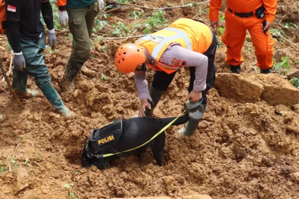 Tim K 9 Polda Jateng Temukan Bayi Tertimbun Longsor Di Pekalongan