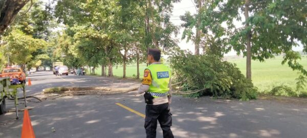 Bhabinkamtibmas Desa Dangin Tukadaya Pastikan Pemangkasan Pohon Berjalan Aman