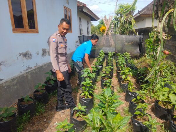 Bhabinkamtibmas Jembrana Ajak Warga Manfaatkan Pekarangan Secara Produktif