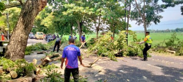 Cegah Bahaya Di Jalan, Bhabinkamtibmas Dangin Tukadaya Awasi Pemangkasan Pohon