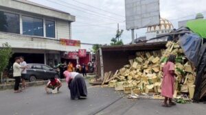 Duku Berserakan Akibat Truk Terguling Di Pantura Kendal, Warga Malah