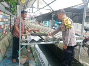 Dukung Ketahanan Pangan, Polres Jembrana Aktif Bantu Warga Manfaatkan Pekarangan