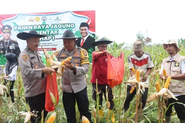 Kapolres Lamandau Ambil Bagian Dalam Panen Jagung Serentak 2025 Virtual