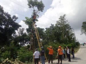 Mencari Pakan Ternak, Pria Di Grobogan Tewas Akibat Kesetrum Listrik