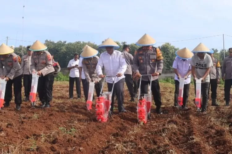 Mendukung Ketahanan Pangan, Polres Pemalang Tanam Jagung Di Lahan Tidur