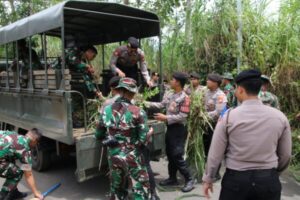 Perkuat Kebersamaan, Tni Polri Gelar Karya Bakti Bersama