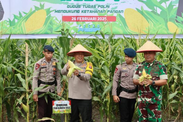 Polda Kalteng Panen Raya Jagung Perdana, Dukung Ketahanan Pangan