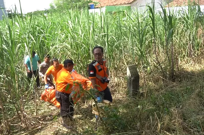 Polisi Terus Selidiki Kasus Temuan Kerangka Tengkorak Manusia Di Jekulo