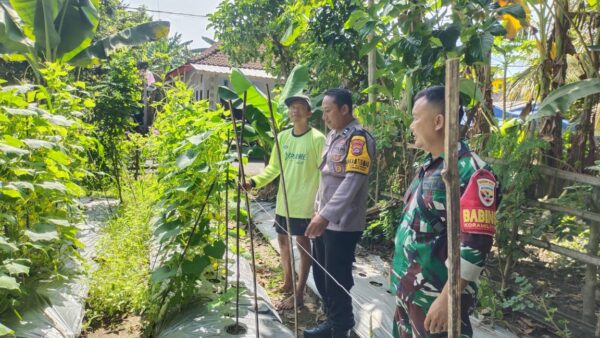 Sinergi Polisi Dan Masyarakat, Pekarangan Pangan Bergizi Hadir Di Jembrana