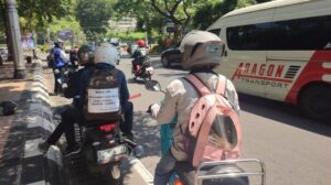 Agar lebih efektif, pengamat sarankan valet and ride prioritaskan pemudik